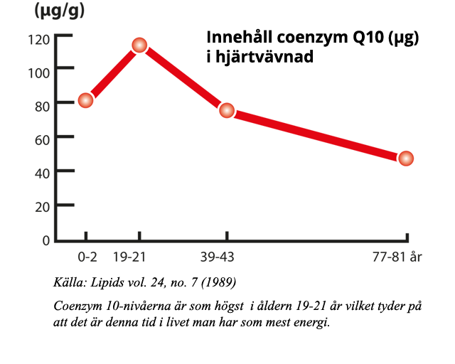 Kroppens Q10-nivå börjar sjunka i tjugoårsåldern och sjunker sedan stadigt resten av livet